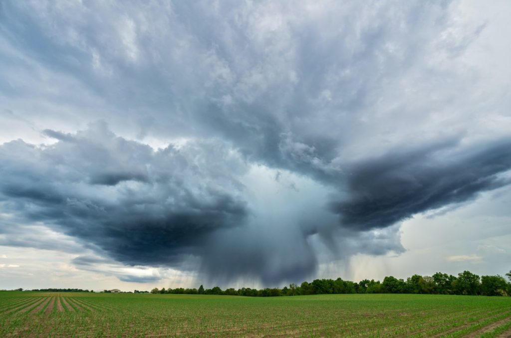 Weather